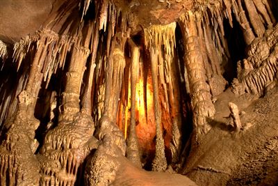 Waitomo Höhlen